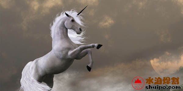 机器人或自动化企业将有可能成为行业的独角兽 机器人或自动化企业将有可能成为行业的独角兽